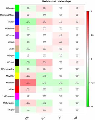 Identification of Temporal Characteristic Networks of Peripheral Blood Changes in Alzheimer’s Disease Based on Weighted Gene Co-expression Network Analysis